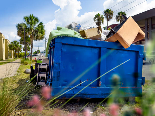Yard Cleanup Services in Columbus Grove, OH
